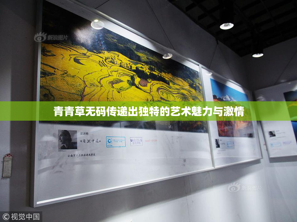 青青草无码传递出独特的艺术魅力与激情