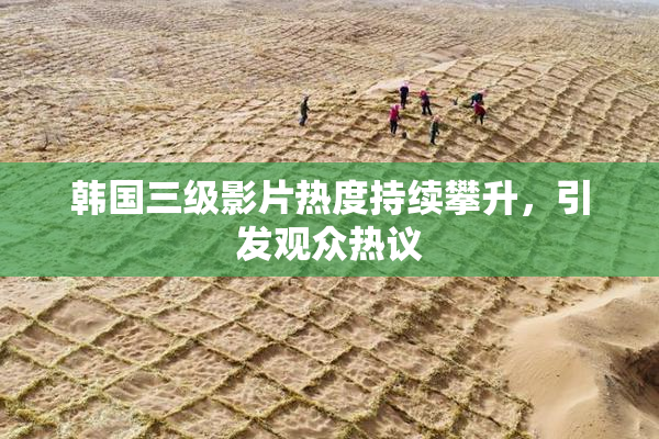 韩国三级影片热度持续攀升，引发观众热议