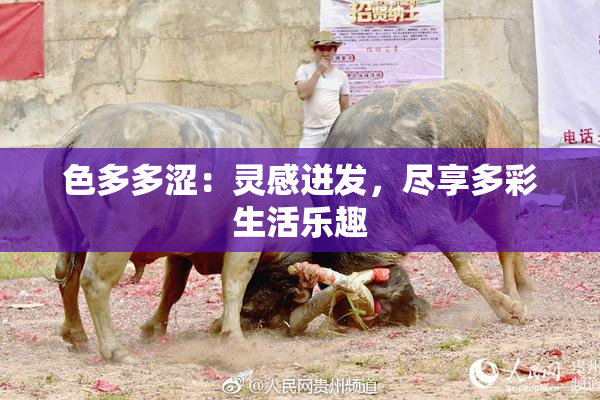 色多多涩：灵感迸发，尽享多彩生活乐趣