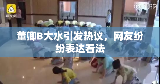 董卿B大水引发热议，网友纷纷表达看法