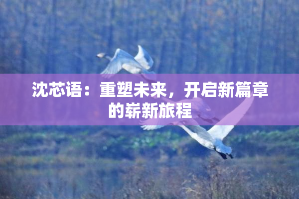 沈芯语：重塑未来，开启新篇章的崭新旅程