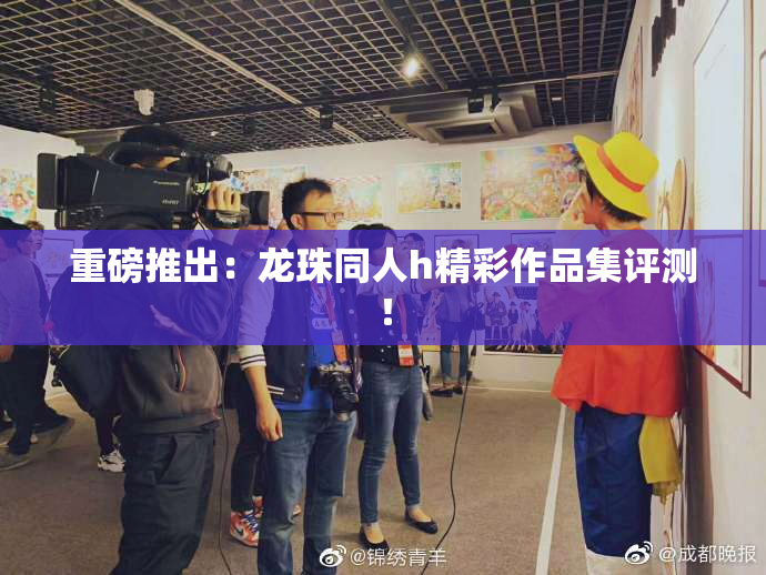 重磅推出：龙珠同人h精彩作品集评测！
