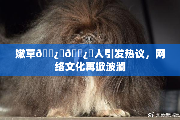 嫩草🌿‌🌿‌人引发热议，网络文化再掀波澜