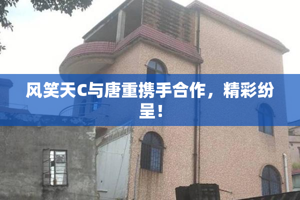 风笑天C与唐重携手合作，精彩纷呈！