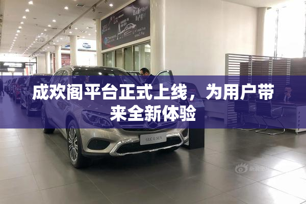成欢阁平台正式上线，为用户带来全新体验