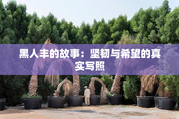 黑人丰的故事：坚韧与希望的真实写照