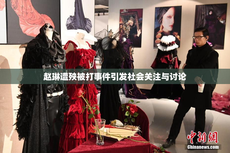 赵琳遭殃被打事件引发社会关注与讨论