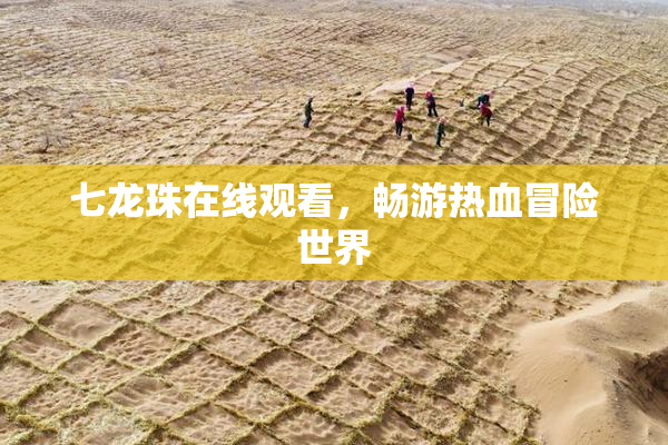 七龙珠在线观看，畅游热血冒险世界