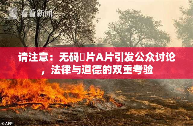 请注意：无码婬片A片引发公众讨论，法律与道德的双重考验