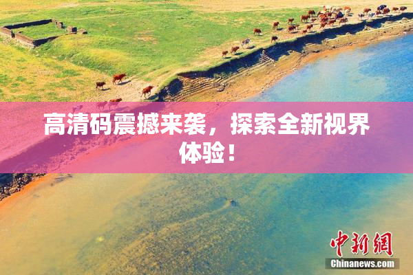 高清码震撼来袭，探索全新视界体验！