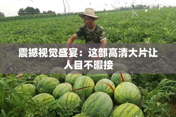震撼视觉盛宴：这部高清大片让人目不暇接
