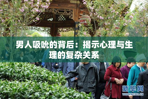 男人吸吮的背后：揭示心理与生理的复杂关系