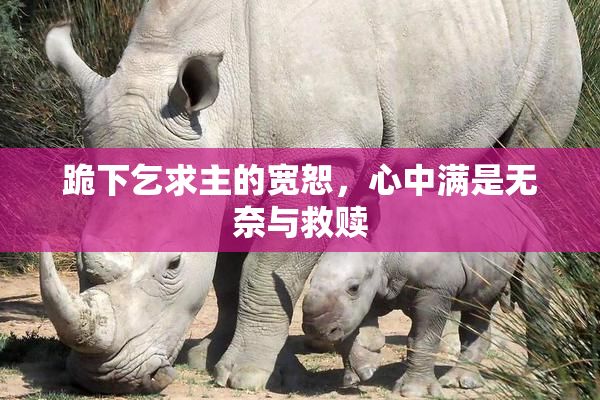 跪下乞求主的宽恕，心中满是无奈与救赎