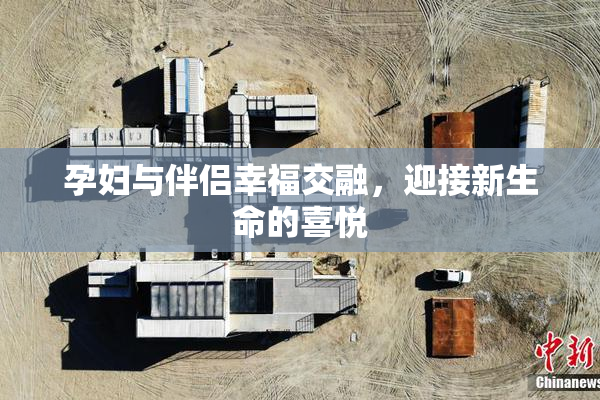孕妇与伴侣幸福交融，迎接新生命的喜悦