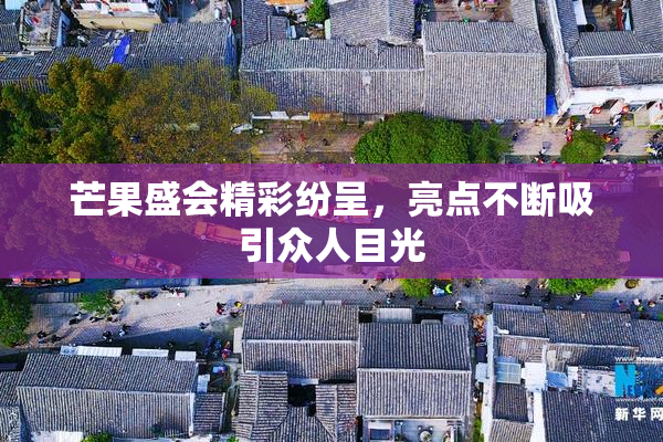芒果盛会精彩纷呈，亮点不断吸引众人目光