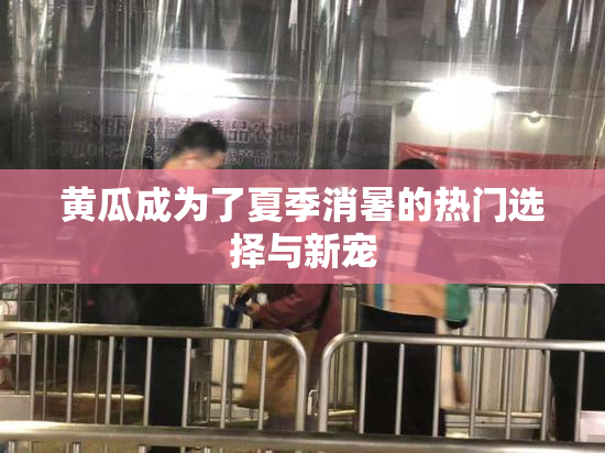 黄瓜成为了夏季消暑的热门选择与新宠