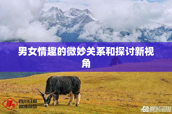 男女情趣的微妙关系和探讨新视角