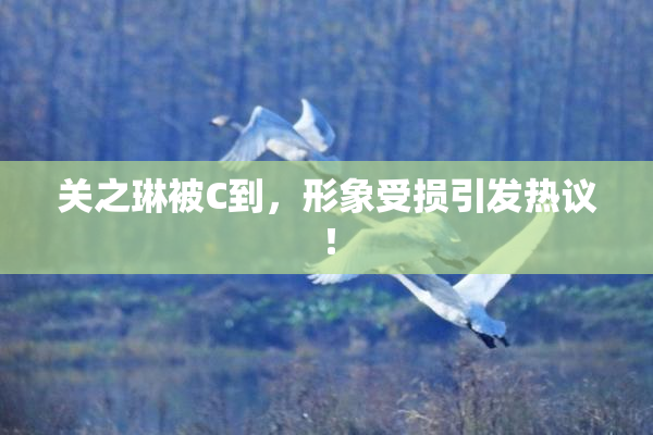 关之琳被C到，形象受损引发热议！