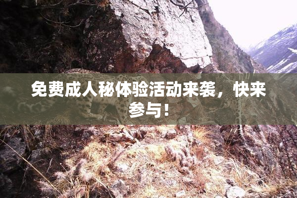 免费成人秘体验活动来袭，快来参与！