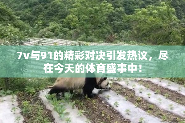 7v与91的精彩对决引发热议，尽在今天的体育盛事中！