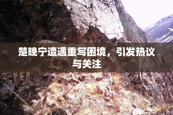楚晚宁遭遇重写困境，引发热议与关注