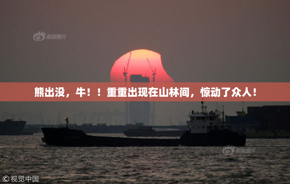 熊出没，牛！！重重出现在山林间，惊动了众人！