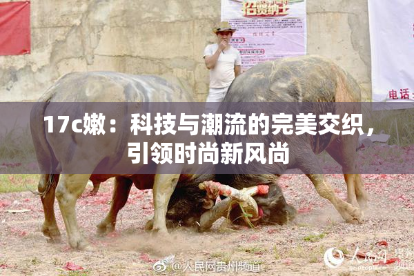 17c嫩：科技与潮流的完美交织，引领时尚新风尚
