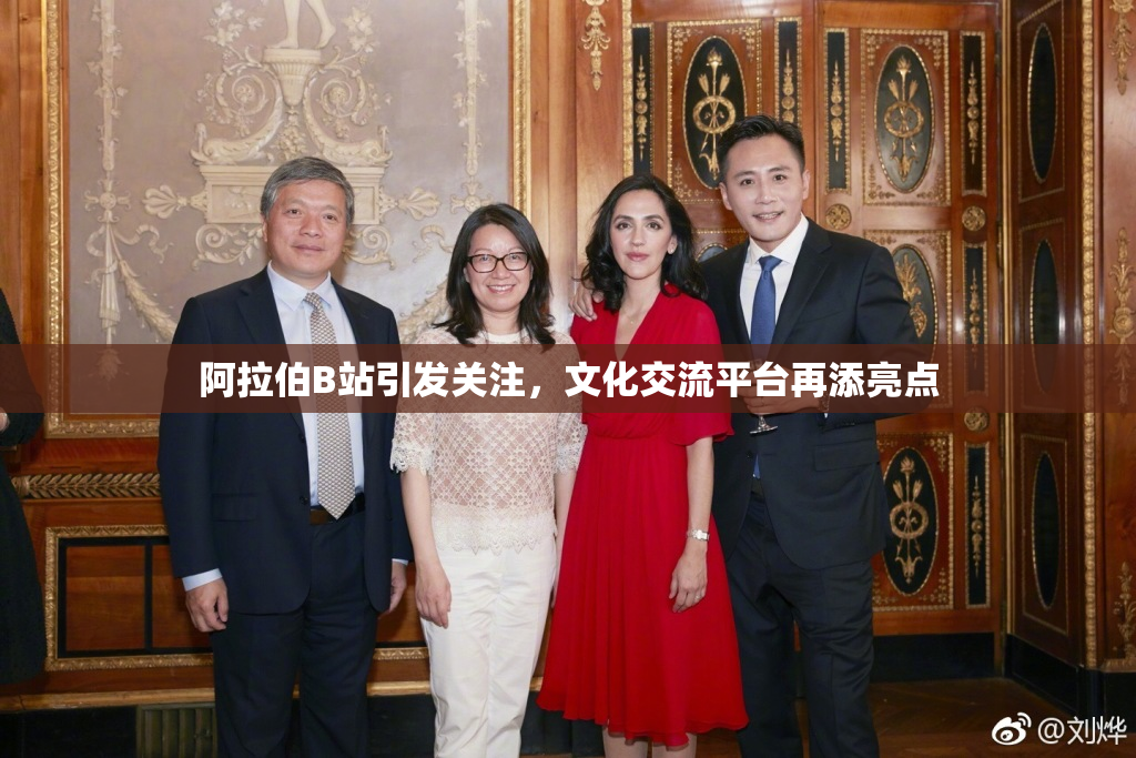 阿拉伯B站引发关注，文化交流平台再添亮点