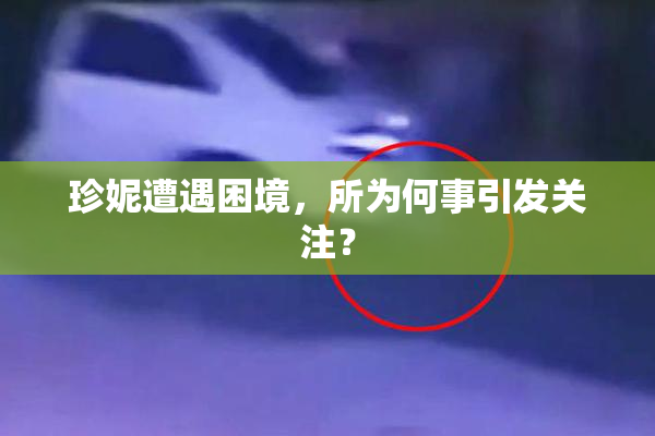 珍妮遭遇困境，所为何事引发关注？