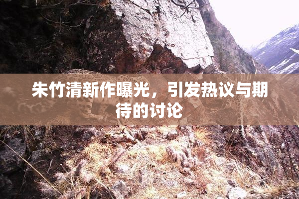 朱竹清新作曝光，引发热议与期待的讨论
