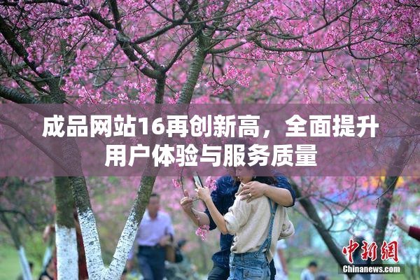 成品网站16再创新高，全面提升用户体验与服务质量