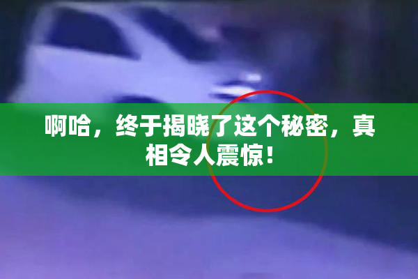 啊哈，终于揭晓了这个秘密，真相令人震惊！