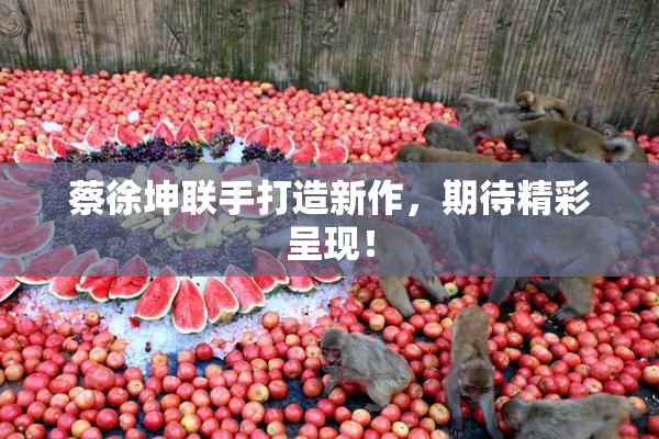 蔡徐坤联手打造新作，期待精彩呈现！