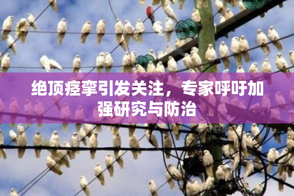 绝顶痉挛引发关注，专家呼吁加强研究与防治