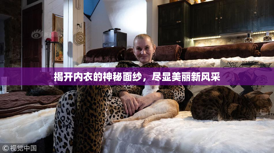 揭开内衣的神秘面纱，尽显美丽新风采