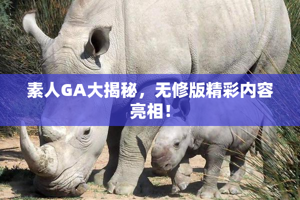 素人GA大揭秘，无修版精彩内容亮相！