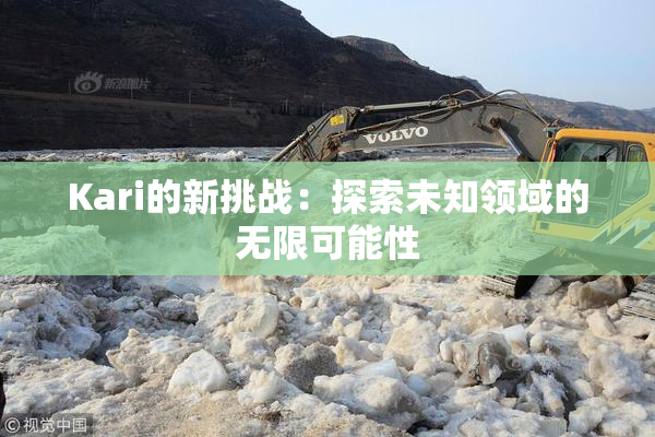 Kari的新挑战：探索未知领域的无限可能性