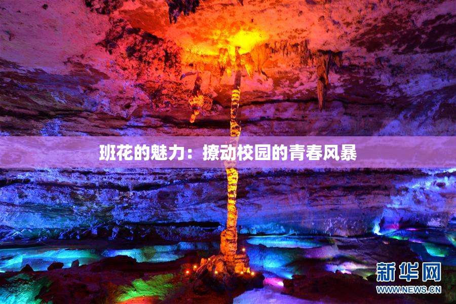班花的魅力：撩动校园的青春风暴