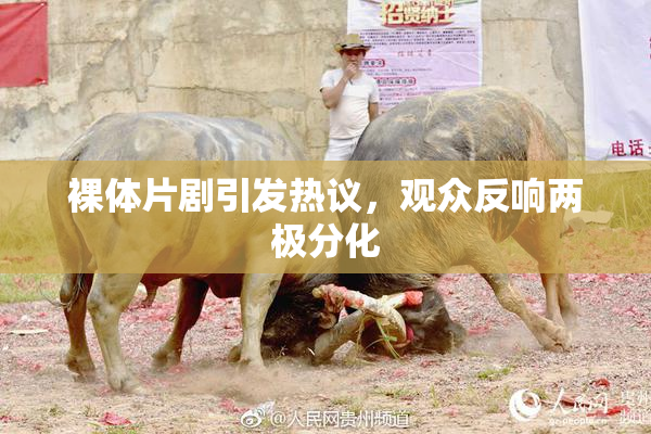 裸体片剧引发热议，观众反响两极分化
