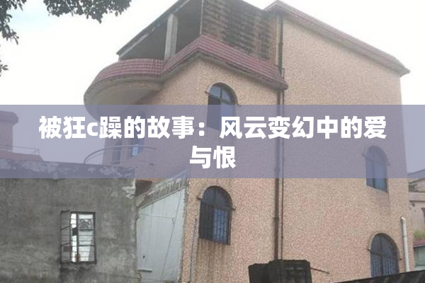 被狂c躁的故事：风云变幻中的爱与恨