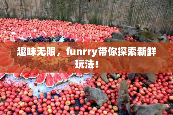 趣味无限，funrry带你探索新鲜玩法！