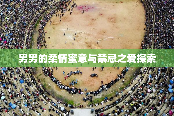 男男的柔情蜜意与禁忌之爱探索