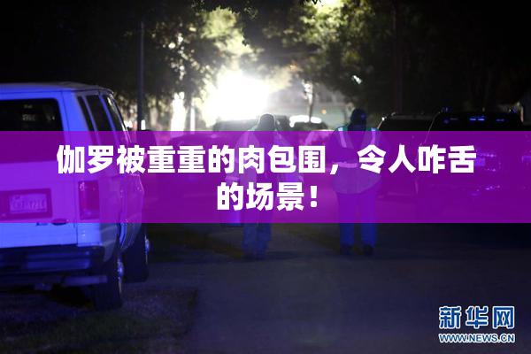 伽罗被重重的肉包围，令人咋舌的场景！