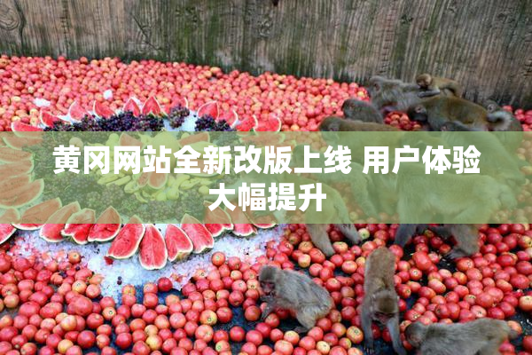 黄冈网站全新改版上线 用户体验大幅提升