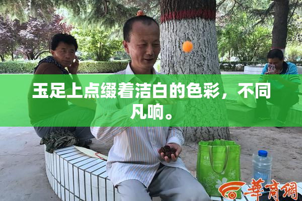 玉足上点缀着洁白的色彩，不同凡响。
