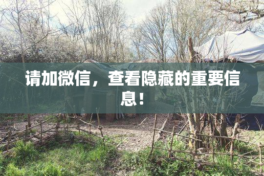 请加微信，查看隐藏的重要信息！