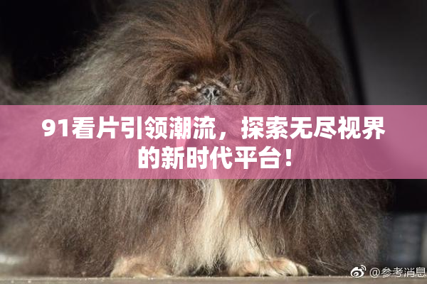 91看片引领潮流，探索无尽视界的新时代平台！
