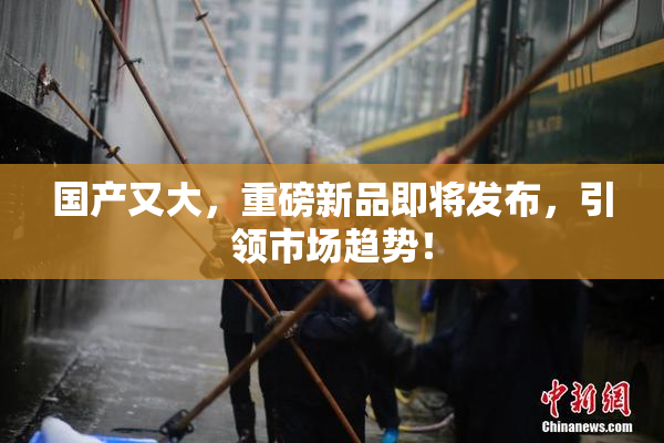 国产又大，重磅新品即将发布，引领市场趋势！