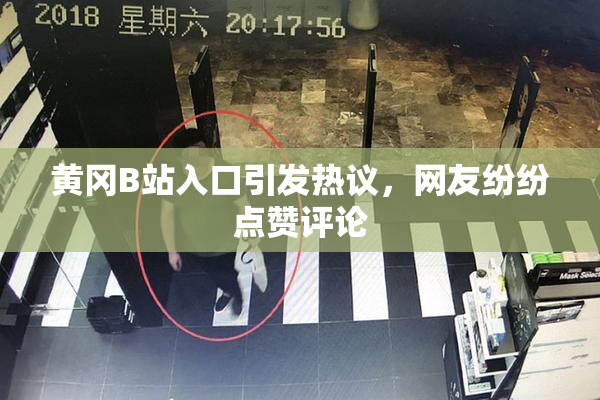 黄冈B站入口引发热议，网友纷纷点赞评论