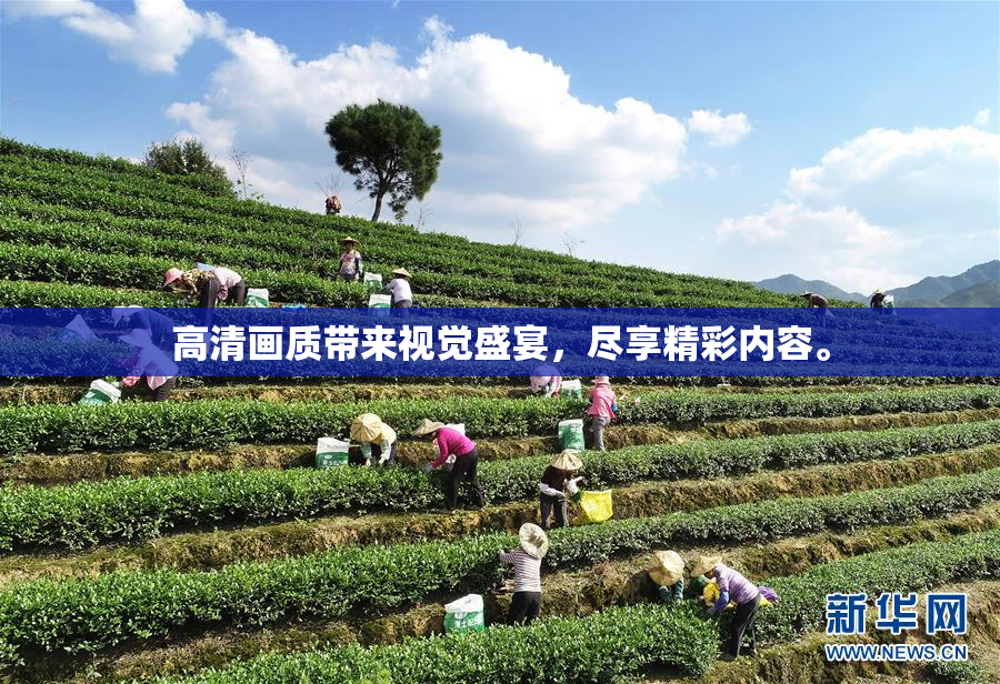 高清画质带来视觉盛宴，尽享精彩内容。